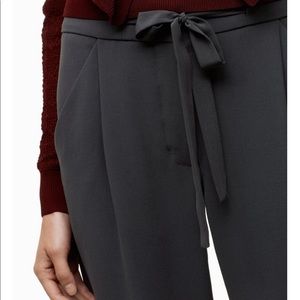 Aritzia Wilfred Allant pant